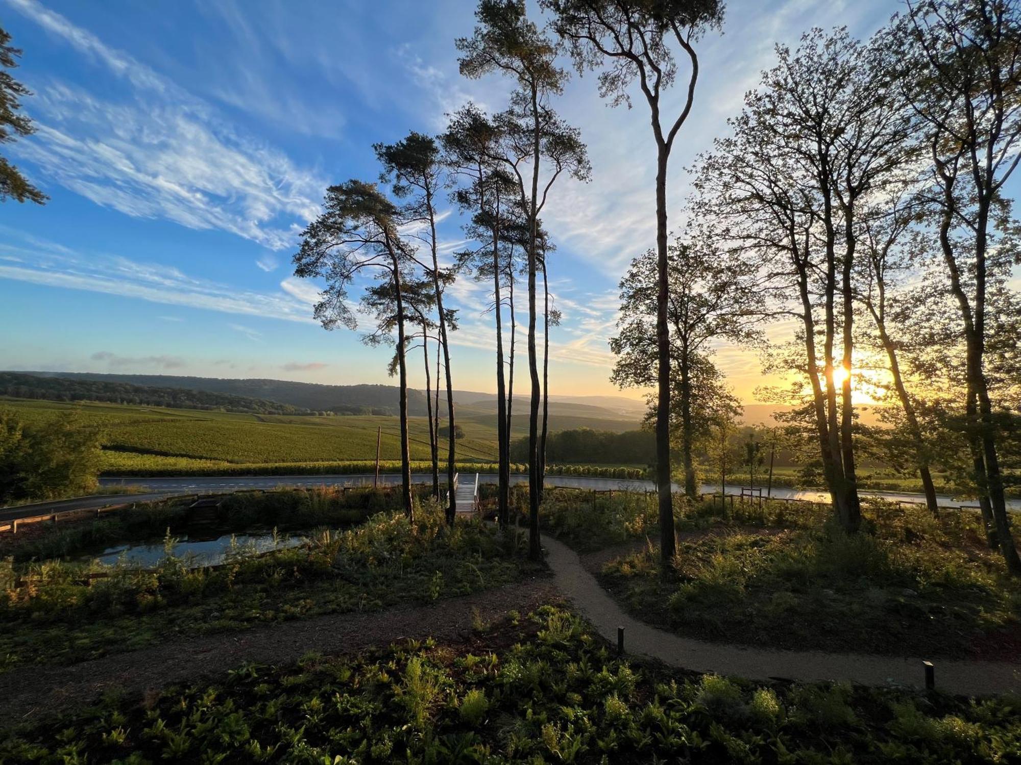 Loisium Wine & Spa Hotel Champagne Mutigny Экстерьер фото